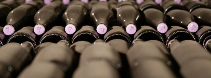 banner botellas jane baques